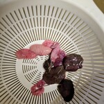 糸田すっぽん養殖場 - 