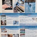 天然氷のかき氷 ひめじ官兵衛堂 - 