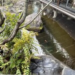 合掌レストラン 大藏 - 