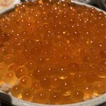 居酒屋 勇旬 いか太郎 本店 - 鮭の親子丼(2,180円)
                                →それなりのお値段ですが、いくらがたっぷり。ご飯もボリューム満点なので、これだけでお腹いっぱいになるかも。海鮮を味わいたい人は、刺身中心にオーダーしたほうがよさそうです。