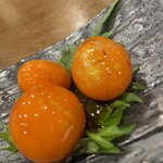 炭火やきとり とり紗 - 