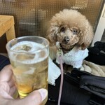 大衆食堂みゆき - ホッピー白で乾杯♪