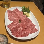 オーロックス - 