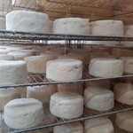 Fromagery Gaugry - 