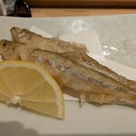 築地寿司清 渋谷店 - 