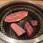 Wagyu Houdai no Dendo Akihabara Nikuya Yokocho Yakiniku