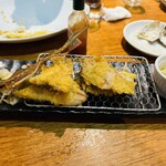 湘南バルはなたれ The Fish and Oysters - 