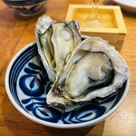 湘南バルはなたれ The Fish and Oysters - 