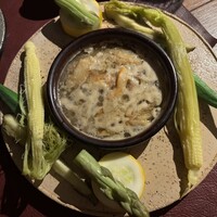 Potoro - 