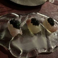 Potoro - 