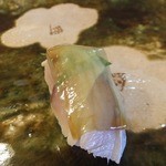 鮨おおね田 - 2014/06　さば