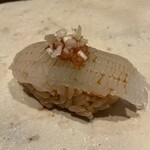 浅草壽司清 - アオリイカ