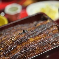 炭焼うな富士 名駅店 - 