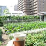 COFFEE KIOSK - 