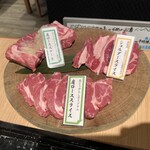 北とうがらし - 