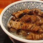 焼肉丼 みらく - 焼肉丼