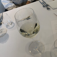 RISPETTO - 