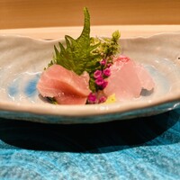 札幌 鮨 よこ田 - 