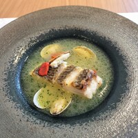 GLICINE di ACQUA PAZZA - 