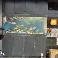 とらふぐ亭 池袋東口店 - 