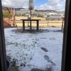 風°輪 - テラスには雪が...スズメがいっぱいきてた