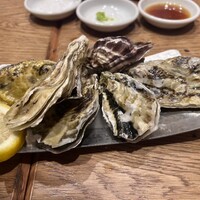 Seafood bar Ermitage 横浜鶴屋町店 - 殻付き生牡蠣