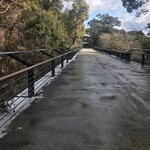 神椿 - 雪が残る寒い週末