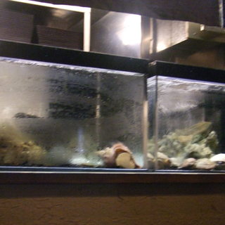 越後屋 玄白 はなれ_2