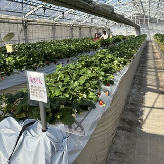 おきうね農園_2