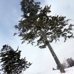 さわだ - 極寒の朱鞠内湖