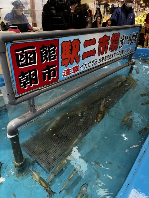 口コミ一覧 : 函館朝市 駅二市場 活いか釣り広場の写真