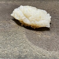 鮨 無垢/鮨 白銀 - 北海道産水蛸　とても柔らかく甘い