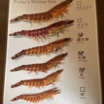 くるまえびキッチンTAMAYA - 本日の車海老サイズ