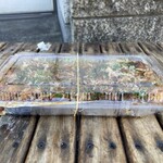 たこぼーず - たこ焼 30コ（550円）