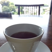 イムリ - 紅茶