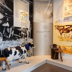 Maison du Brie de Meaux - 