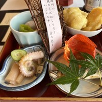 山茶花 - 