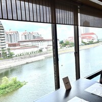 山茶花 - 