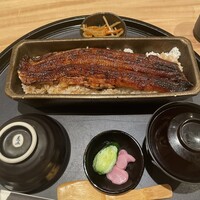 うなぎ四代目菊川 ヒルトンプラザウエスト大阪店 - 