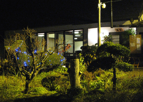 和食処 陽庭 - 三春（日本料理）の写真