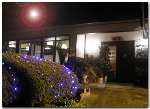 和食処 陽庭 - 三春（日本料理）の写真