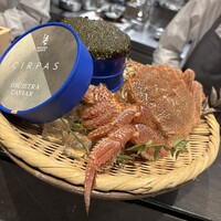 CIRPAS - 