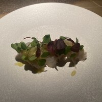 コントワール ミサゴ - 