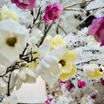 HAUTE COUTURE CAFE OMOTESANDO - 