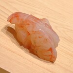 鮨 めい乃 - 牡丹海老です。太い。青い粒は卵です