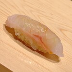 鮨 めい乃 - 銚子の本アラです。1.5kgの小さめのサイズなので荒っぽさがなくめい乃さんの繊細な仕立てに合っておりました