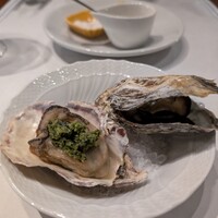 舵 - 