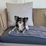 キラナガーデン豊洲 - 