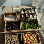 キラナガーデン豊洲 - 