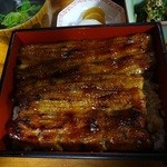 川蝉 - うな重　松